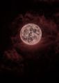 Moon_light22 